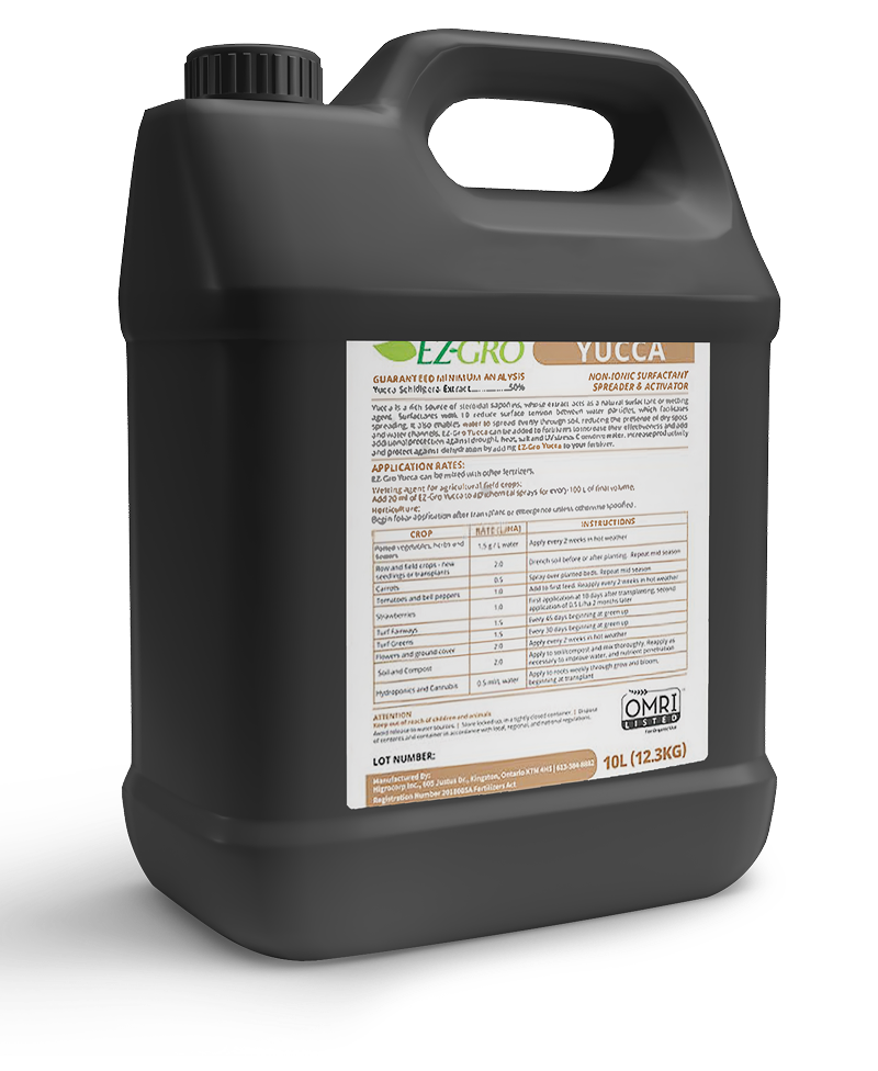 Yucca Gallon
