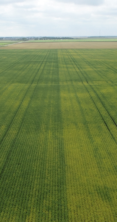 Ez Gro Sprout Final Draft A (mobile)