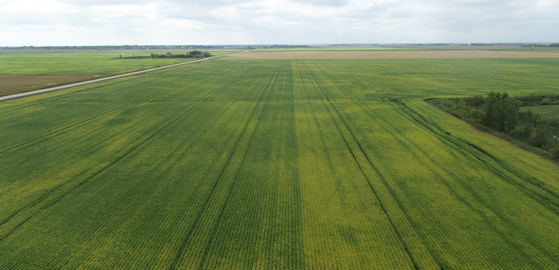 Ez Gro Sprout Final Draft A